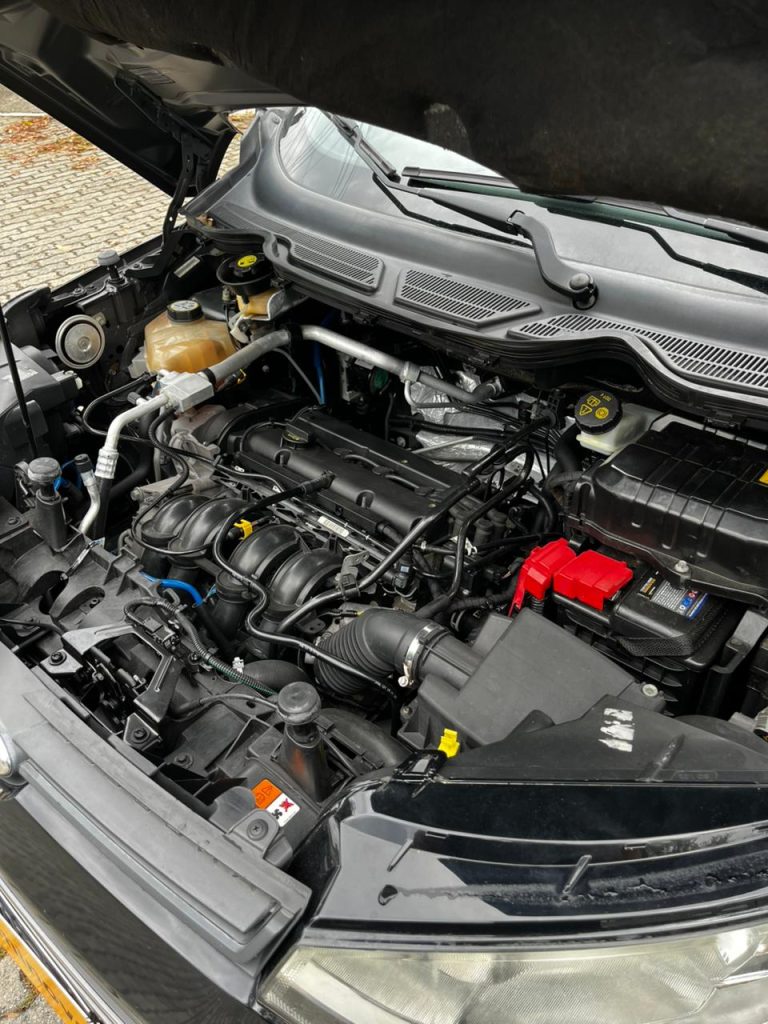 Ford Ecosport 1.6 16v S Flex 5p